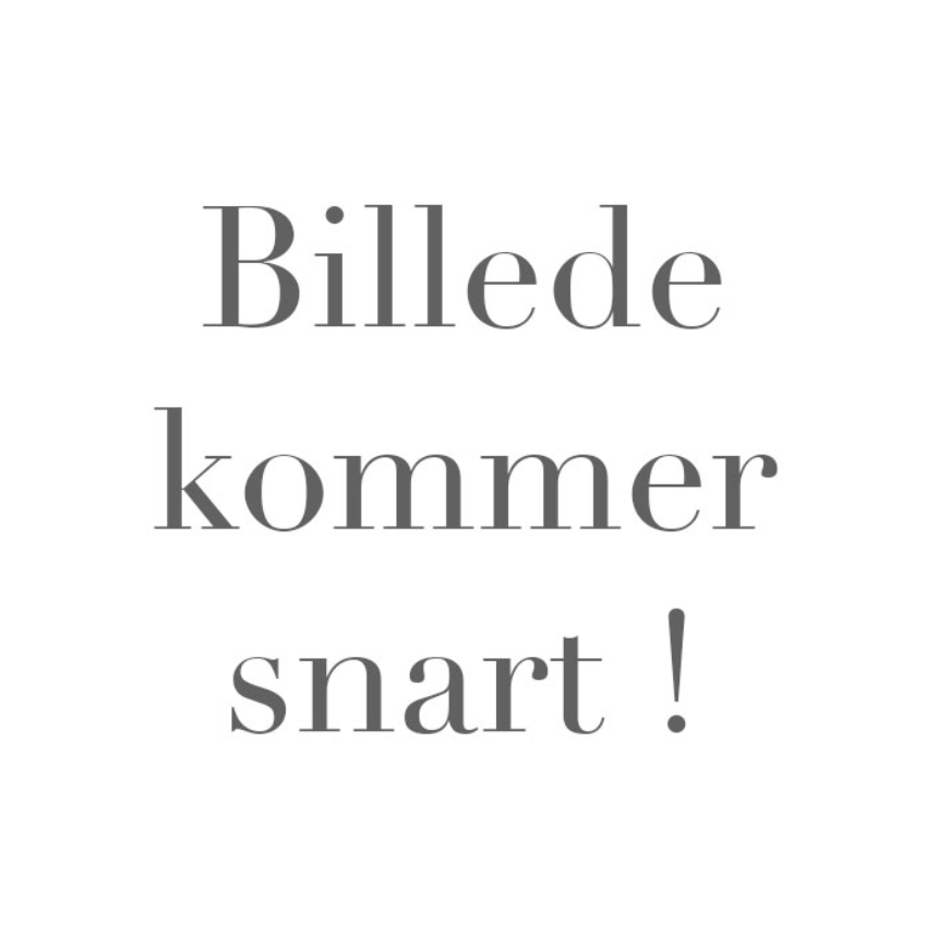 BILLEDE-KOMMER-SNART
